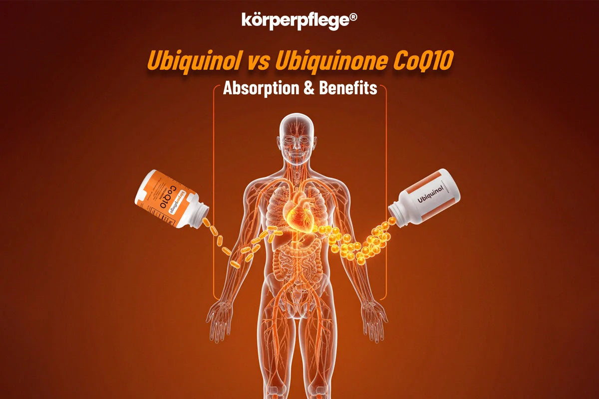 Ubiquinol vs Ubiquinone CoQ10: Absorption & Benefits